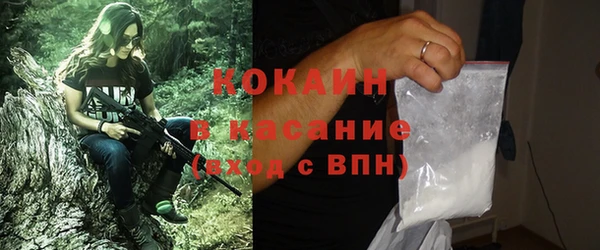 прущие грибы Алексин