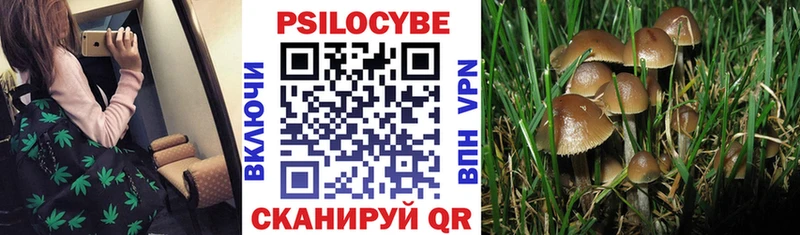 Псилоцибиновые грибы мухоморы Белебей